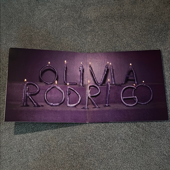 GUTS Vinyl - Picture 7 of 7